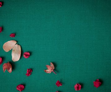 green background with dry red flower.